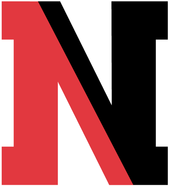 Northeastern Huskies 2004-2006 Alternate Logo iron on transfers for clothing